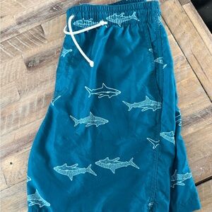Old Navy Swim Trunks